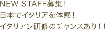 NEW STAFF募集！日本でイタリアを体感！イタリアン研修のチャンスあり！！